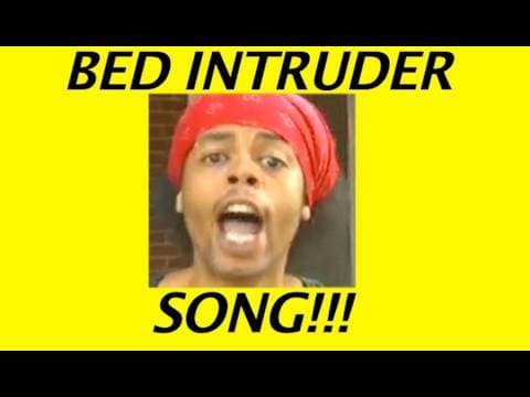 Bed Intruder preview image